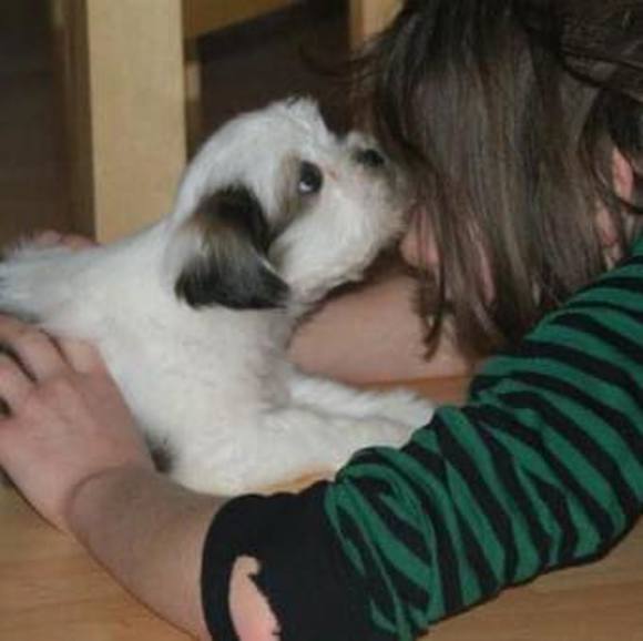 Profile Picture of Kally Weeteringen (@kally_w) on Poshmark