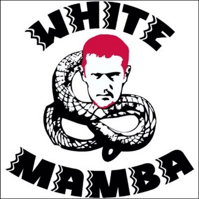 Profile Picture of Brian Scalabrine (@Scal24Brian) on Twitter