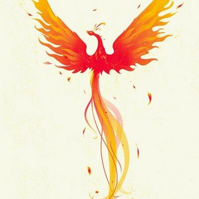 Profile Picture of Akio Kitano (@akiomaeda500) on Twitter