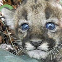 Profile Picture of Erik Lyons (@erik-lyons-9) on Quora