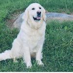 Profile Picture of Richard Gusler (@rdgus) on Instagram