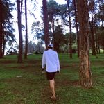 Profile Picture of Amorn Chuensiri (@amornchuensiri) on Instagram