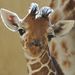 Profile Picture of Nancy Vaught (@20nvaught) on Pinterest