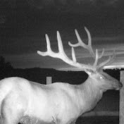 Profile Picture of Barry Anderson (@barryanderson7471) on Youtube