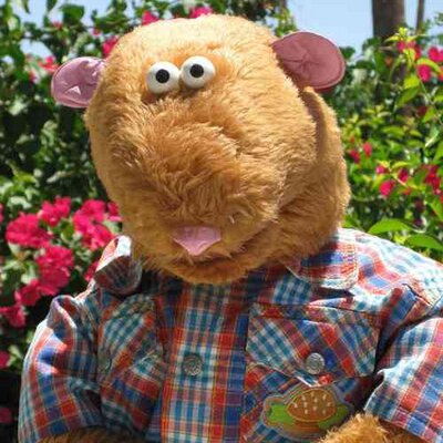 Profile Picture of Kevin The Gerbil (@kevinthegerbil) on Twitter