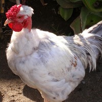 Profile Picture of Russell Keene-carey (@russell-keene-carey) on Quora