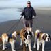 Profile Picture of Jason Schutt (@jasons9386) on Pinterest