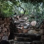 Profile Picture of Alice T Nyawuza (@alicet.nyawuza.7) on Facebook