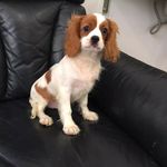 Profile Picture of James Ouyang (@jake.3483) on Instagram