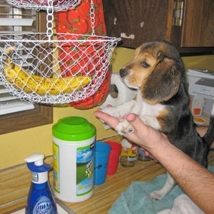 David Coverstone - Myspace Profile Picture of David Coverstone (@mrfrogman6975) on Myspace