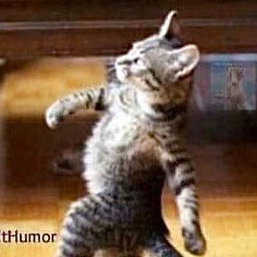 Profile Picture of Suzanne Maxwell (@Suzannemax66) on Twitter