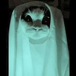 Profile Picture of 🔥 でいき 🔥 (@deikidee) on Instagram