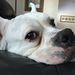 Profile Picture of Rick Larsen (@rlarsen1959) on Pinterest