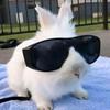 Profile Picture of erik (@erikaajadeh) on Tiktok