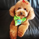 Profile Picture of Ray Tremblay (role play) (@raytrenblay._rp) on Instagram