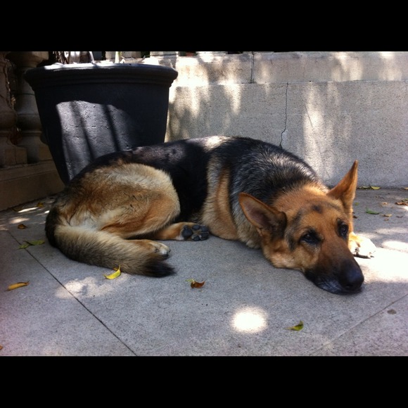 Profile Picture of M Wells (@cookiewells) on Poshmark