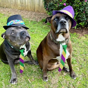 Profile Picture of Lisa Boyer (@lisaboyer6725) on Youtube