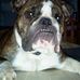 Profile Picture of Rick Testa (@rick.testa.56) on Facebook