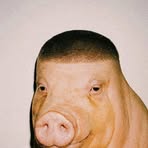 Profile Picture of Joshua Diesel (@Joshua-Diesel) on Facebook