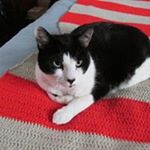 Profile Picture of Elizabeth Mackenzie (@misty4682559) on Instagram