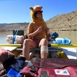 Profile Picture of Lindsay Murdoch (@murdouche2) on Instagram