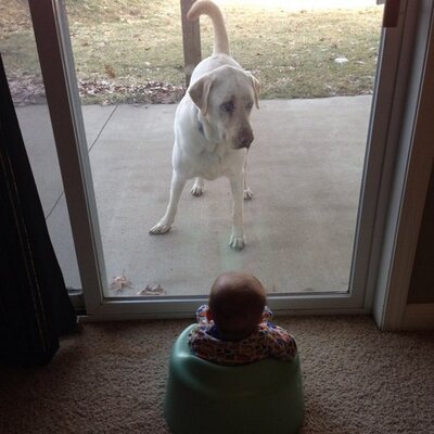 Profile Picture of Jenna Carpenter (@wilk7) on Twitter