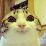 Profile Picture of Zoe Liu (@lzy0416) on Instagram