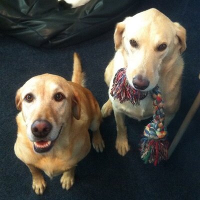 Profile Picture of CindyShrout (@ShroutCindy) on Twitter