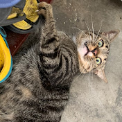 Profile Picture of Limb Gorgeous (@limbgorgeous6774) on Youtube