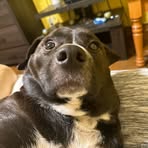 Profile Picture of Tristan Pearson (@tristan.pearson.481726) on Facebook