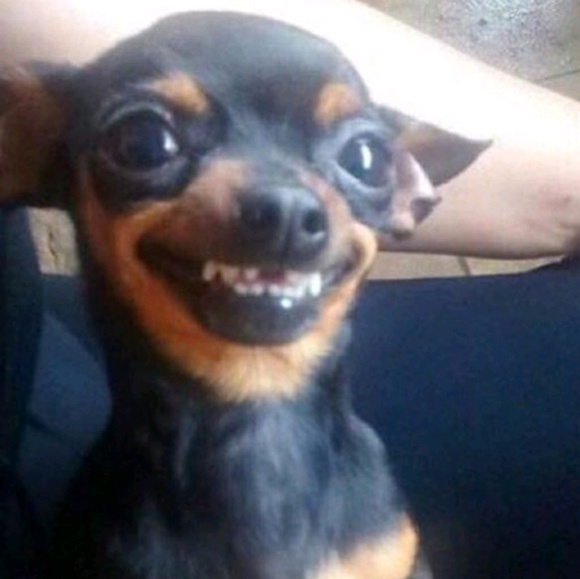 Profile Picture of James Copeland (@jcope02) on Poshmark