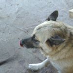 Profile Picture of Matthew s.  coolio (@minerow) on Instagram