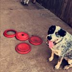 Profile Picture of Shiloh Ellison (@shiloh.ellison) on Instagram