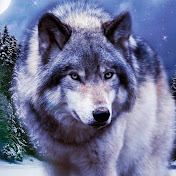 Profile Picture of Andy Wolfe (@andywolfe19) on Youtube