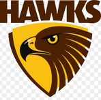 Profile Picture of Hawthorn CK Club (@clint.keil.39) on Facebook