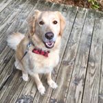 Profile Picture of Colleen Swift (@colleenclare) on Instagram
