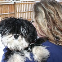 Profile Picture of Jaime Reese (@jaime-reese-3) on Quora