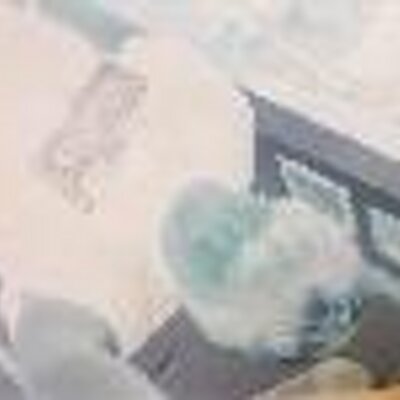 Profile Picture of Brice Knight (@pot_he4d) on Twitter