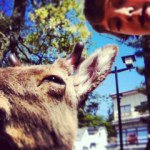 Profile Picture of Jason Scheuermann (@jasons999) on Instagram