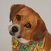 Profile Picture of Janet Gentry (@janet.gentry.129) on Facebook