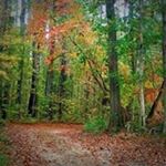 Profile Picture of Tammy Adkisson (@adkisson.tr) on Instagram