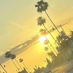 Profile Picture of Barbara Stroup (@stroupb) on Instagram