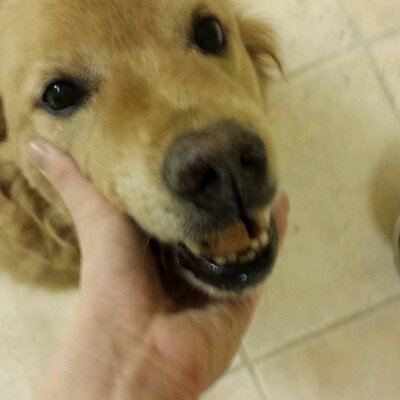 Profile Picture of Nathan Mudd (@mudd_nathan) on Twitter
