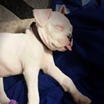 Profile Picture of T.M.J. (@tuffymichaeljackson) on Instagram