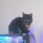 Profile Picture of Caleb Evans (@caleb.evans.566829) on Facebook