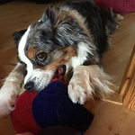 Profile Picture of Linn Karlberg (@korwis) on Flickr