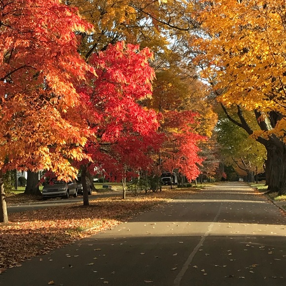 Profile Picture of Betsy Deimel (@hurleybetsy) on Poshmark