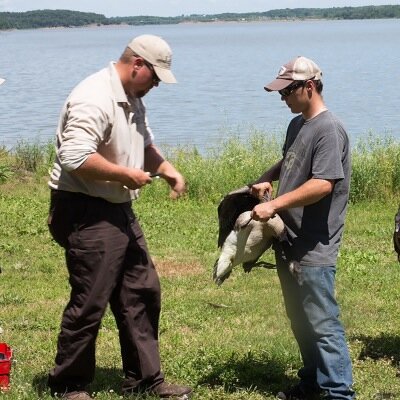 Profile Picture of Aron Boyce (@boyce_aron) on Twitter