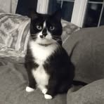 Profile Picture of Beverly Kochinsky Noel (@beverly.kochinsky.noel) on Facebook