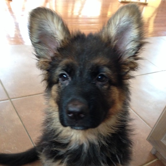 Profile Picture of Colette Bryan (@cok10dc) on Poshmark